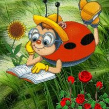 Схема вышивки «Любопытный жук»