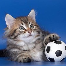 Схема вышивки «кот футболист»