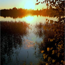 Схема вышивки «№79606»