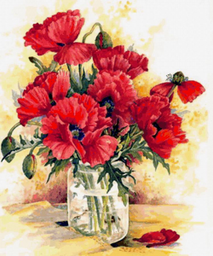 красные восточные маки в банке - мак, цветы, букет - предпросмотр