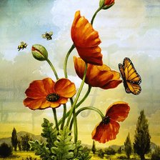 Схема вышивки «Маки»