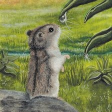 Схема вышивки «Хомушка»