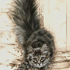 Схема вышивки «Кошечка»