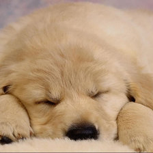 Схема вышивки «милый»