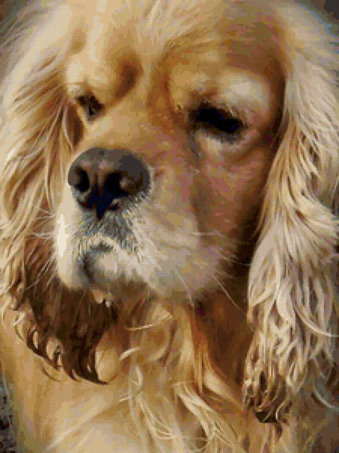 №79930 - собачка - предпросмотр