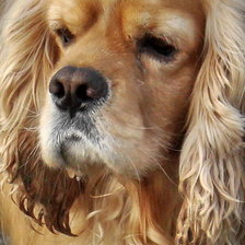 Схема вышивки «№79930»