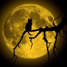 Схема вышивки «Кот на луне»