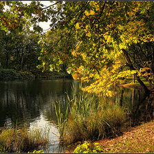 Схема вышивки «№79949»