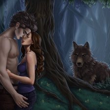 Схема вышивки «cумерки»