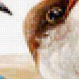 Предпросмотр схемы вышивки «птицы» (№80073)