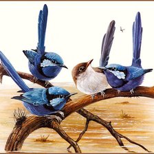 Схема вышивки «птицы»