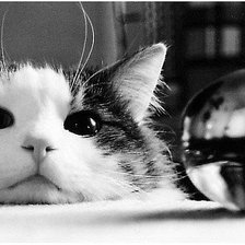 Схема вышивки «№80113»