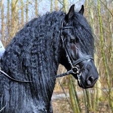 Схема вышивки «№80160»