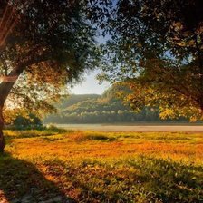 Схема вышивки «№80172»