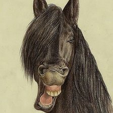 Схема вышивки «№80173»