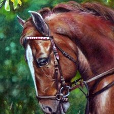 Схема вышивки «№80176»