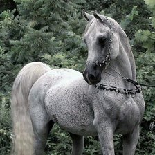 Схема вышивки «№80184»