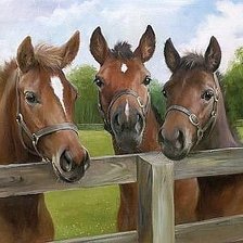 Схема вышивки «№80197»