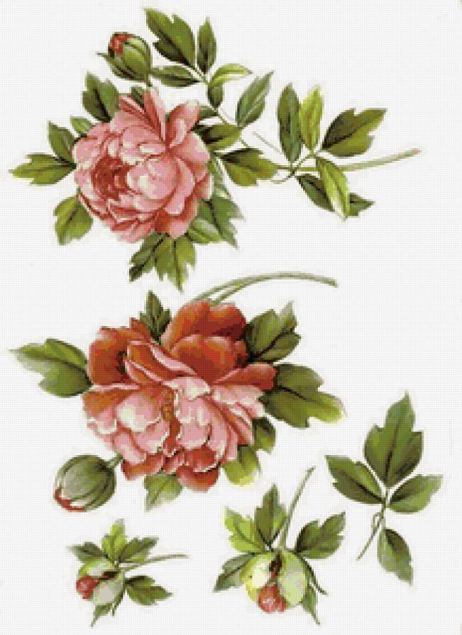 для скатерти и салфеток - цветы, пионы - предпросмотр