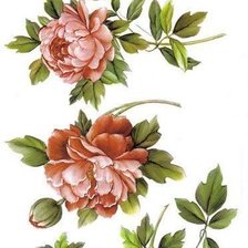 Схема вышивки «для скатерти и салфеток»