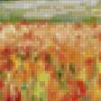 Предпросмотр схемы вышивки «Голандия» (№80322)