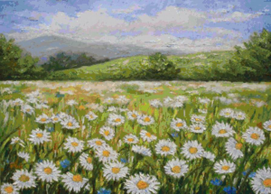 ромашковое поле - ромашки, пейзаж, поле, природа - предпросмотр