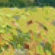 Предпросмотр схемы вышивки «подсолнухи» (№80333)