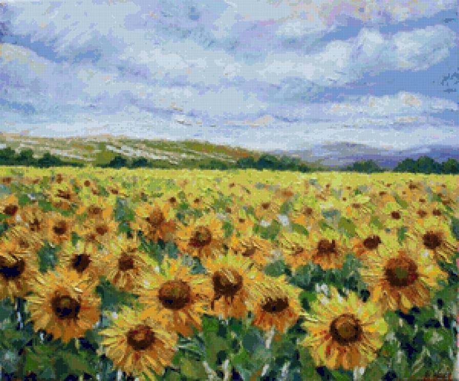 подсолнухи - цветы, цветок, подсолнухи - предпросмотр