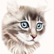 Схема вышивки «№80361»