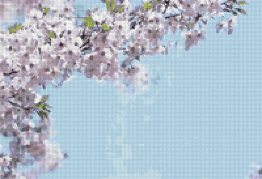 Весенние цветочки - цветы, весна - предпросмотр