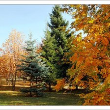 Схема вышивки «42»