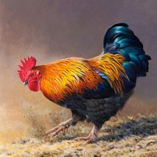 Схема вышивки «петух»