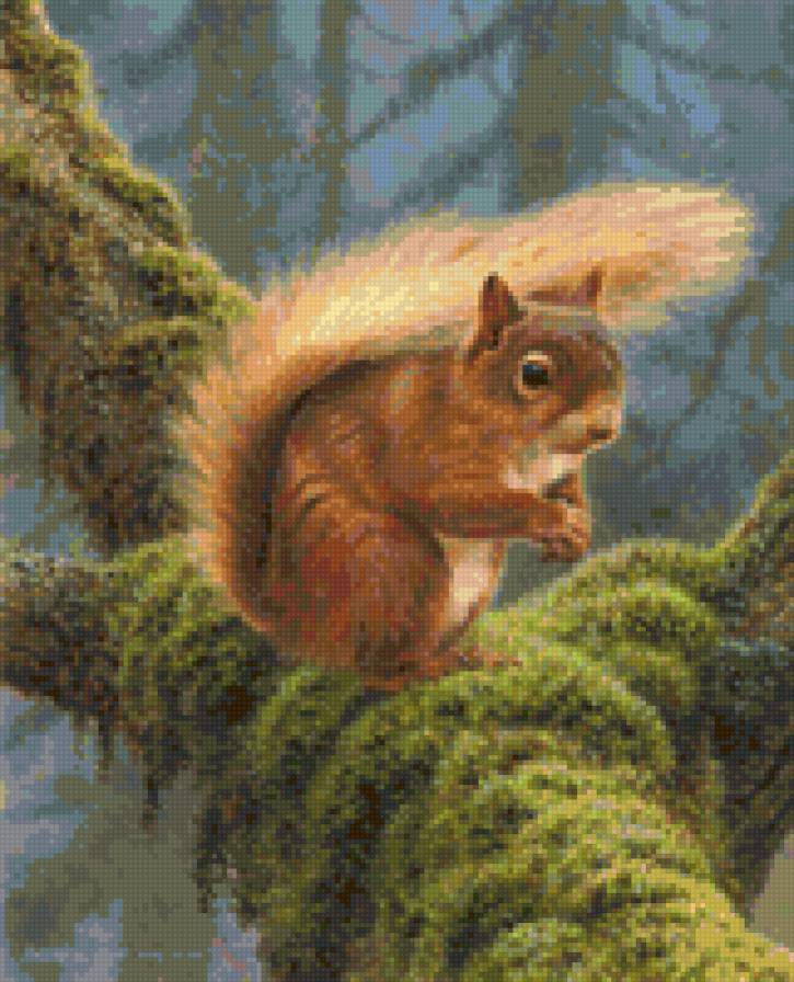 белка - животные - предпросмотр