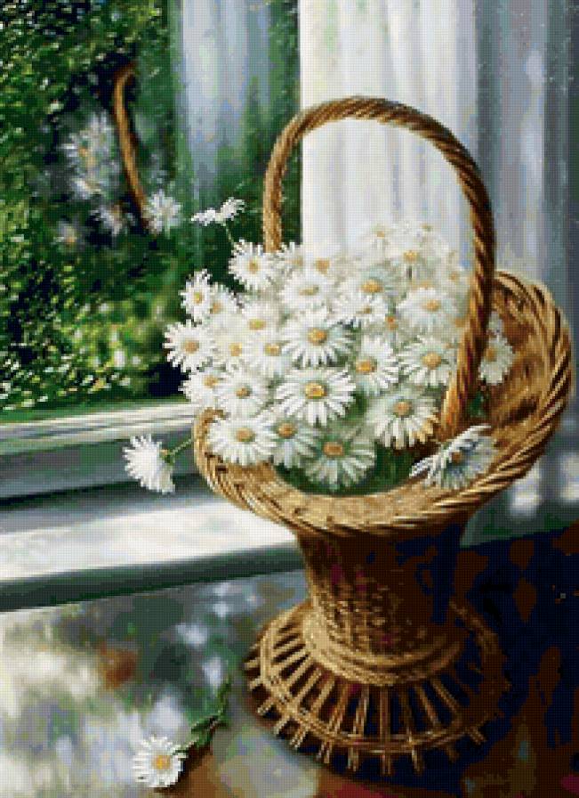 букет ромашек - цветы, ромашки - предпросмотр