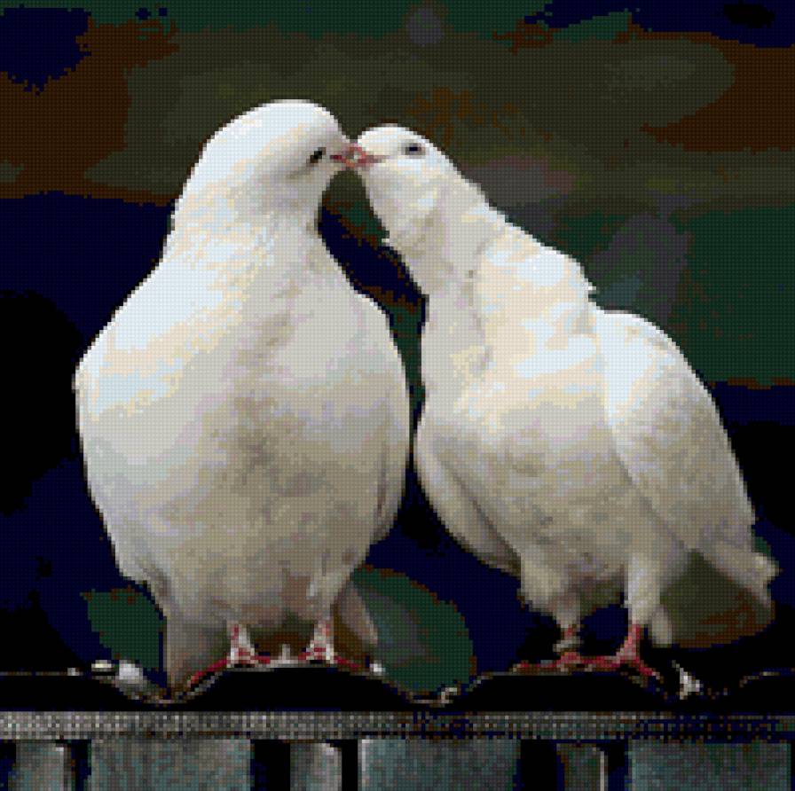 №80580 - предпросмотр