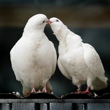 Схема вышивки «№80580»