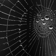 Схема вышивки «паутина»