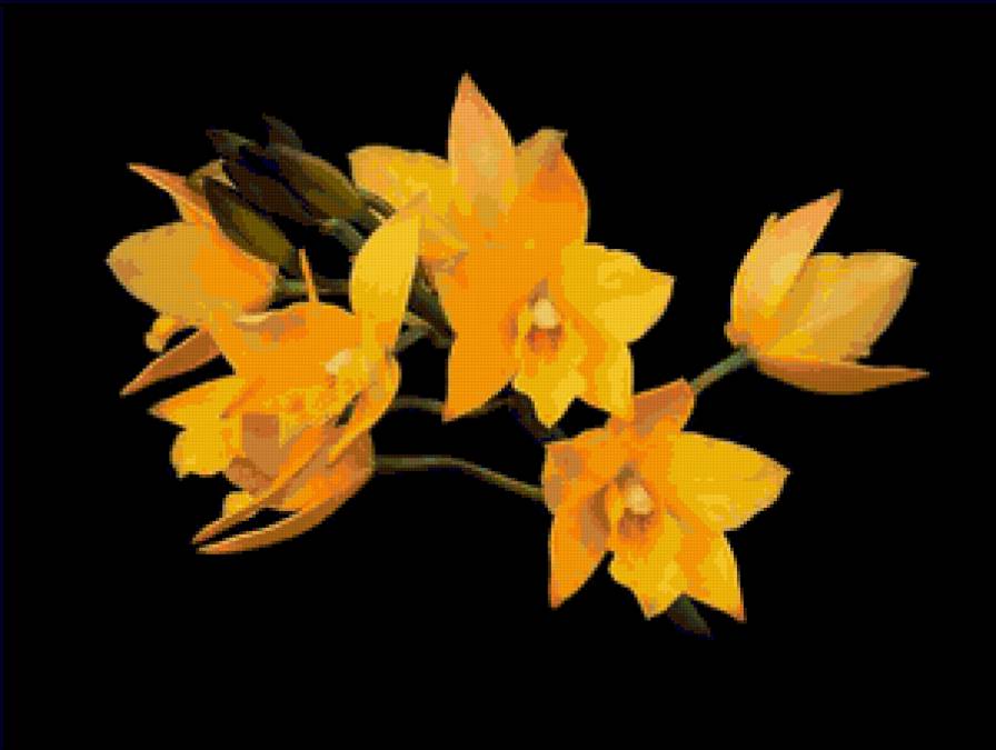 №80680 - цветы, на черном - предпросмотр