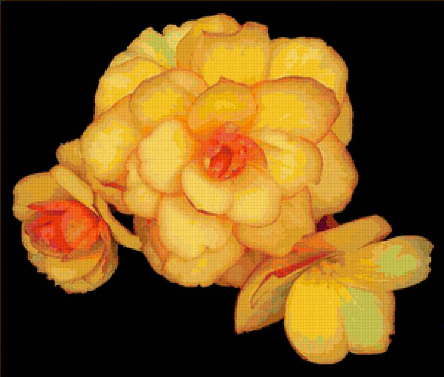 №80717 - на черном, цветы - предпросмотр