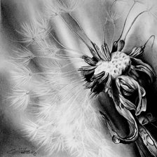 Схема вышивки «№80801»