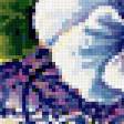 Предпросмотр схемы вышивки «Натюрморт» (№80987)