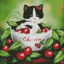 Схема вышивки «Котенок»