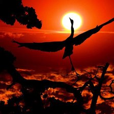 Схема вышивки «африка 2»