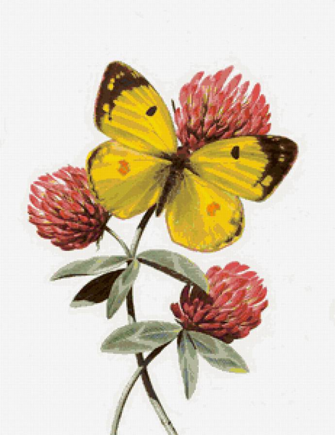 №81220 - животные, бабочка, цветы, рисунок - предпросмотр