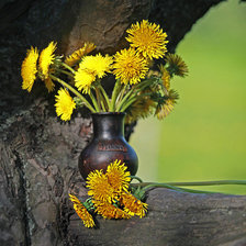 Схема вышивки «одуванчики»