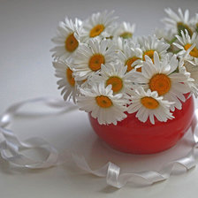 Схема вышивки «ромашки»