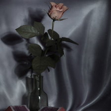 Схема вышивки «роза»