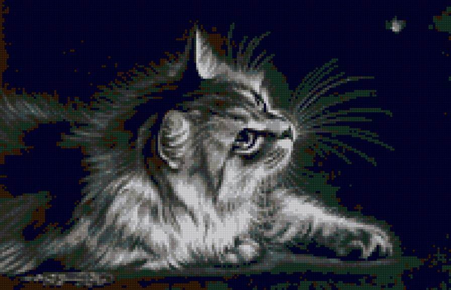 киса - комната кошка, киса - предпросмотр