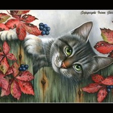 Схема вышивки «кот на изгороди»