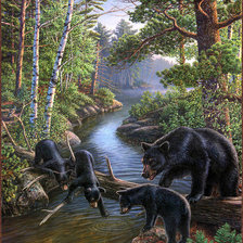 Схема вышивки «медведи»